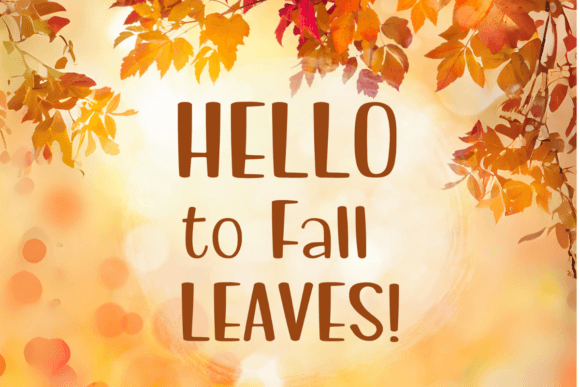 Orange Garden Font PNG with transparent background - Preview 1