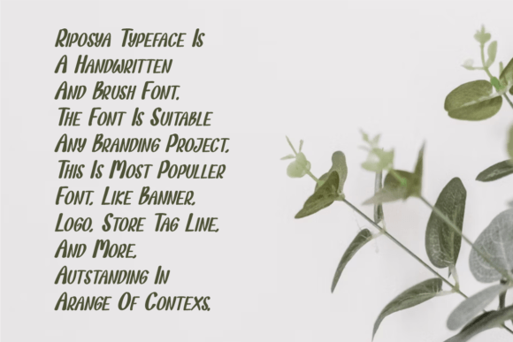 Riposya Typeface Font PNG with transparent background - Preview 1