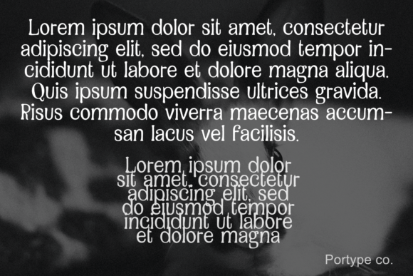 Black Rabbit Font - Preview 3