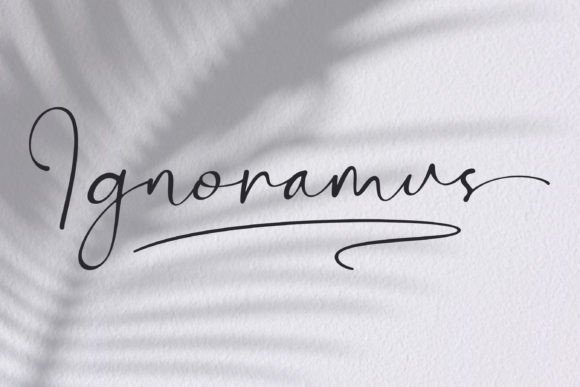 Bontana Font - Preview 2