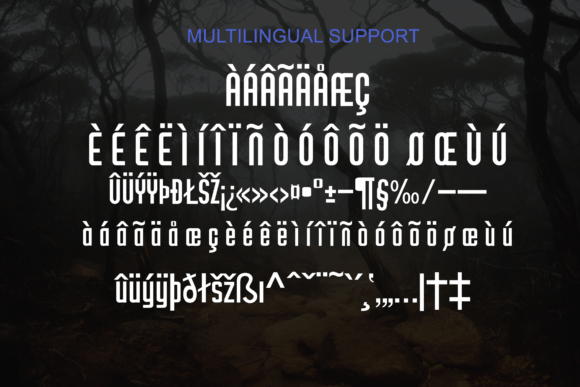 Borneo Pro Font - Preview 4
