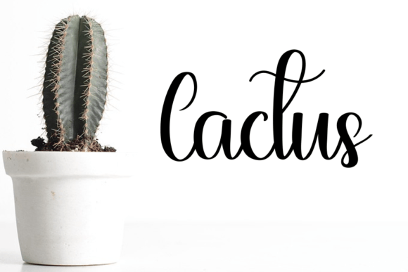 Amsterdam Font - Preview 3