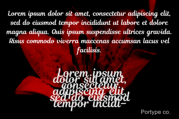 Elegantia Font - Preview 2