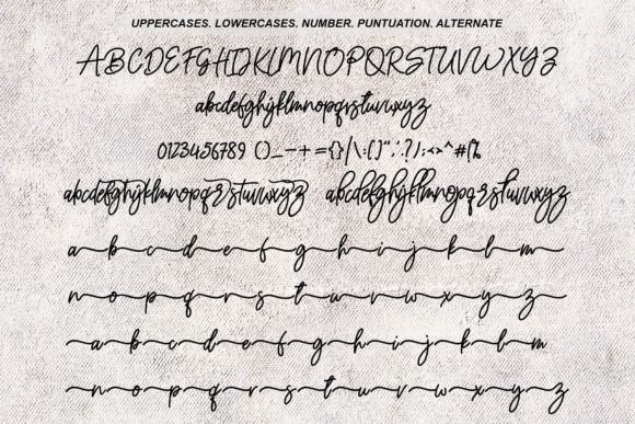 Ameliany Signature Font - Preview 6