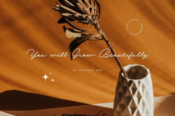Dian Milena Font PNG with transparent background - Preview 3