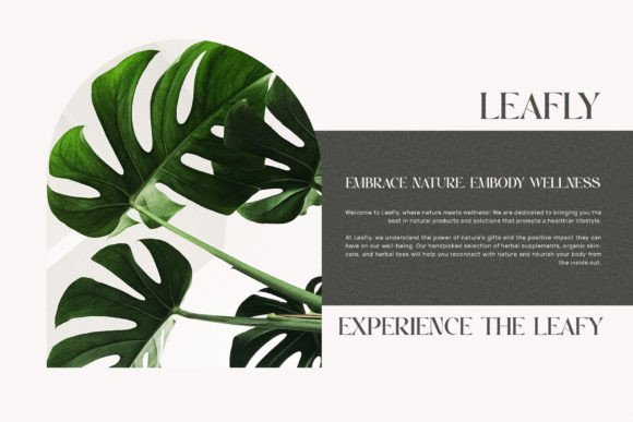 Morins Font PNG with transparent background - Preview 6