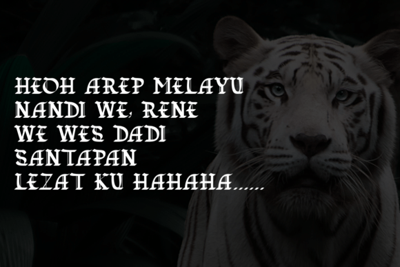 Grone Shellen Font - Preview 3