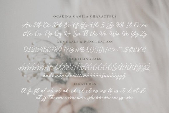 Ocarina Camila Font PNG with transparent background - Preview 5