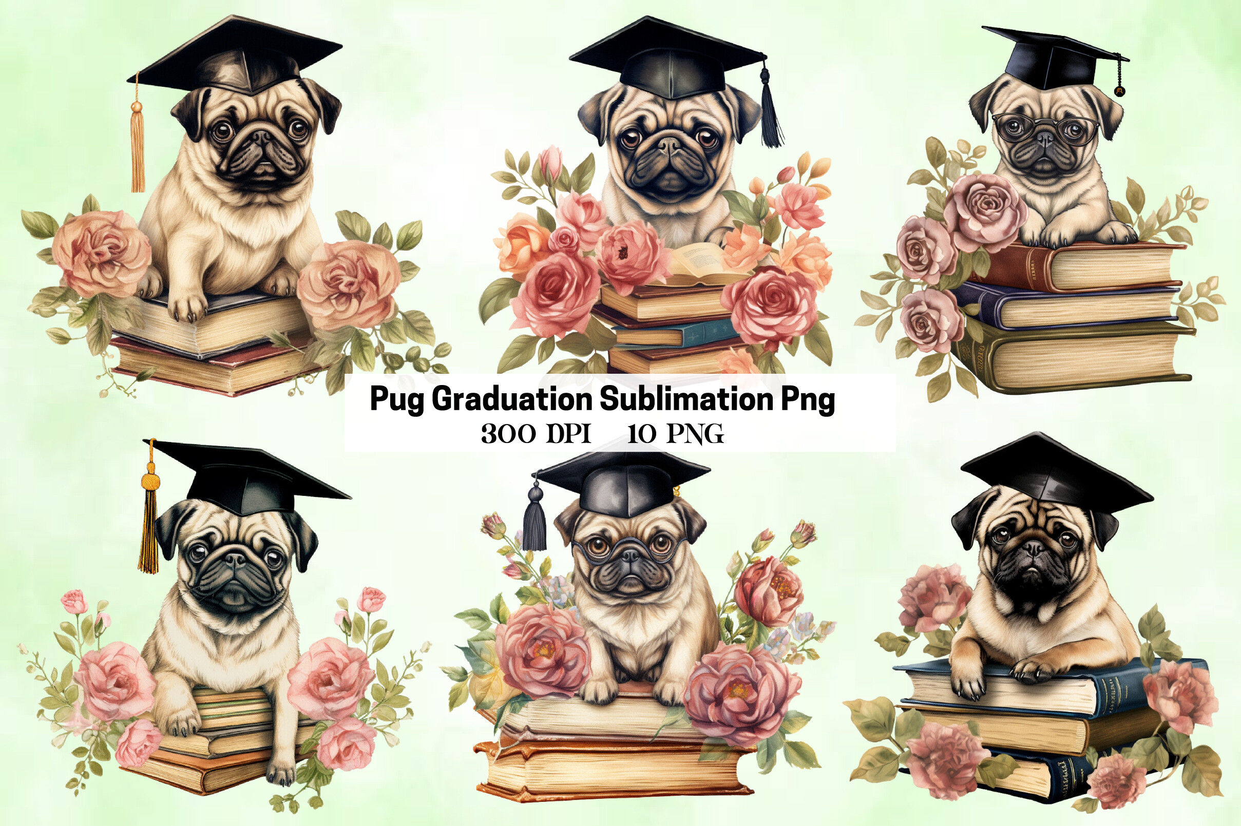 Pug Graduation Sublimation Png