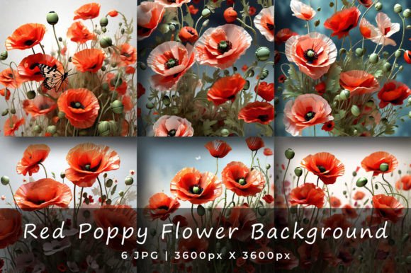 Red Poppy Flower Backgrounds