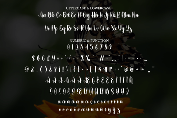 Butterfly Font - Preview 6