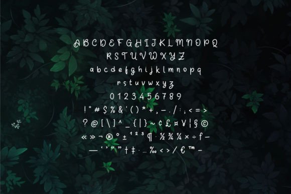 Aries Hoper Font - Preview 3