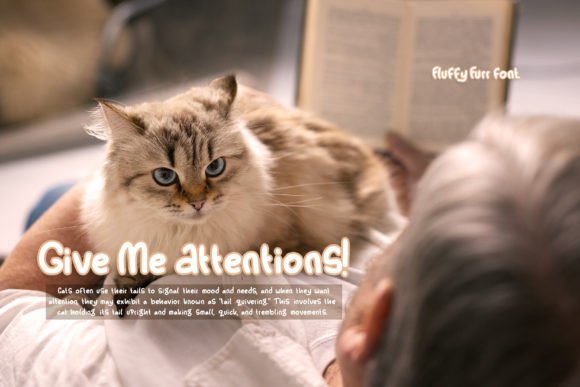 Fluffy Furr Font - Preview 1