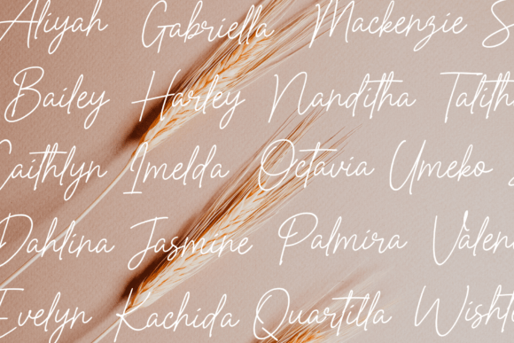 Perfect Beloved Font PNG with transparent background - Preview 1