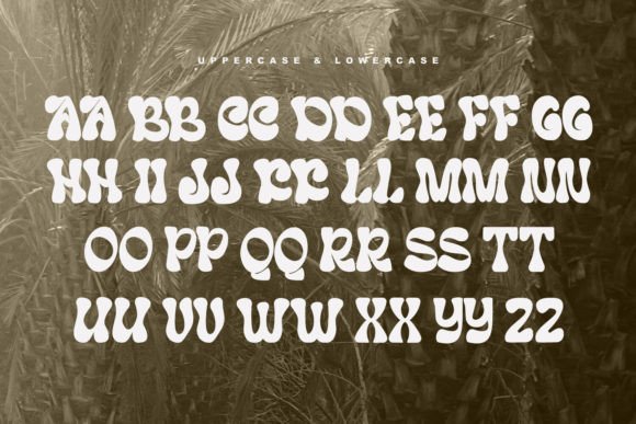 Coding Cincoy Font - Preview 3
