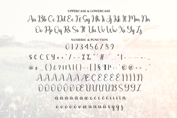 Delight Font - Preview 6