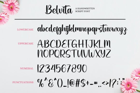Belvita Font - Preview 6