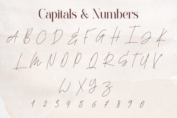 Montero Font PNG with transparent background - Preview 1