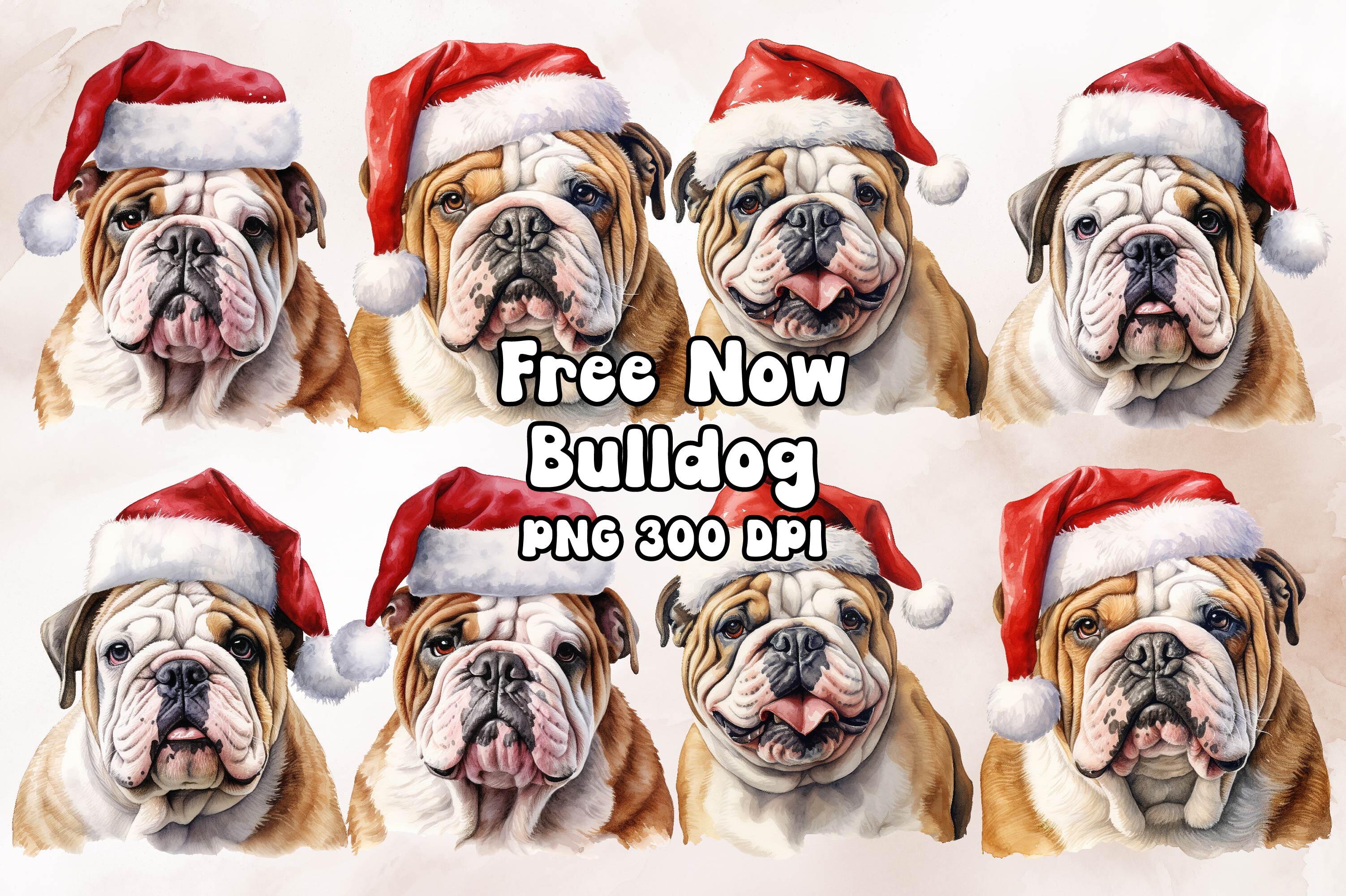 Bulldog Graphic by Fomo Creative · Creative Fabrica