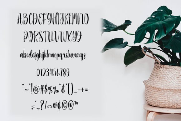 Admirer Nature Font - Preview 6