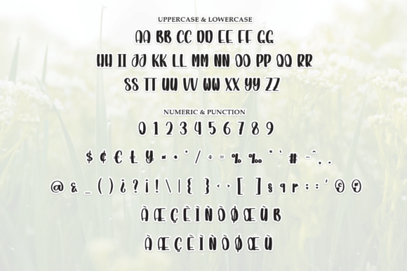 Bounty Font - Preview 6