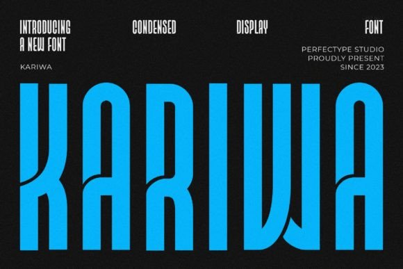 Kariwa Sans Serif Font By Perfectype