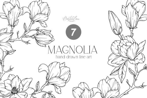 MAGNOLIA LINE DRAWING, Floral Line Art