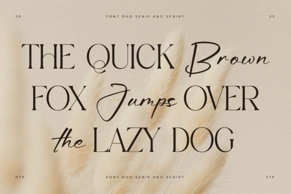 Aurora Magnollia Font - Preview 4