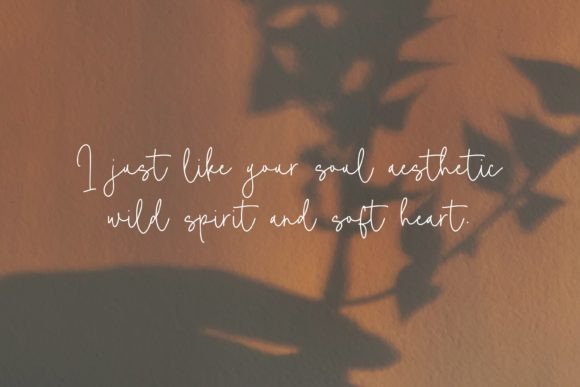 Camelia Boutiue Font - Preview 1