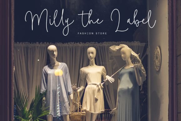 Camelia Boutiue Font - Preview 2