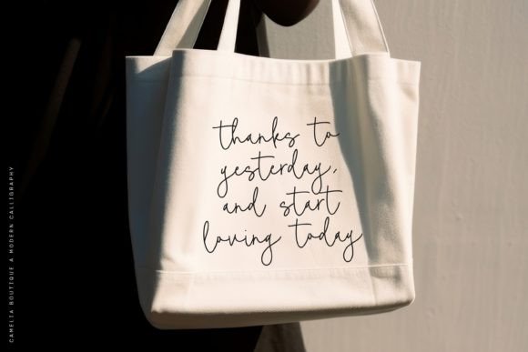 Camelia Boutiue Font - Preview 4