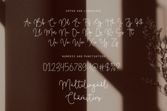 Camelia Boutiue Font - Preview 5