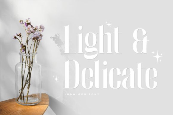 Ludwigon Font PNG with transparent background - Preview 1
