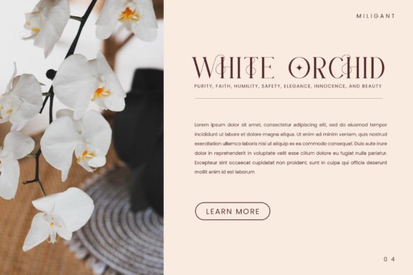 Miligant Serif Font font preview - 3