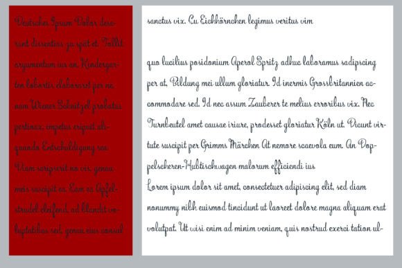 Bunchberry Merry Font - Preview 5