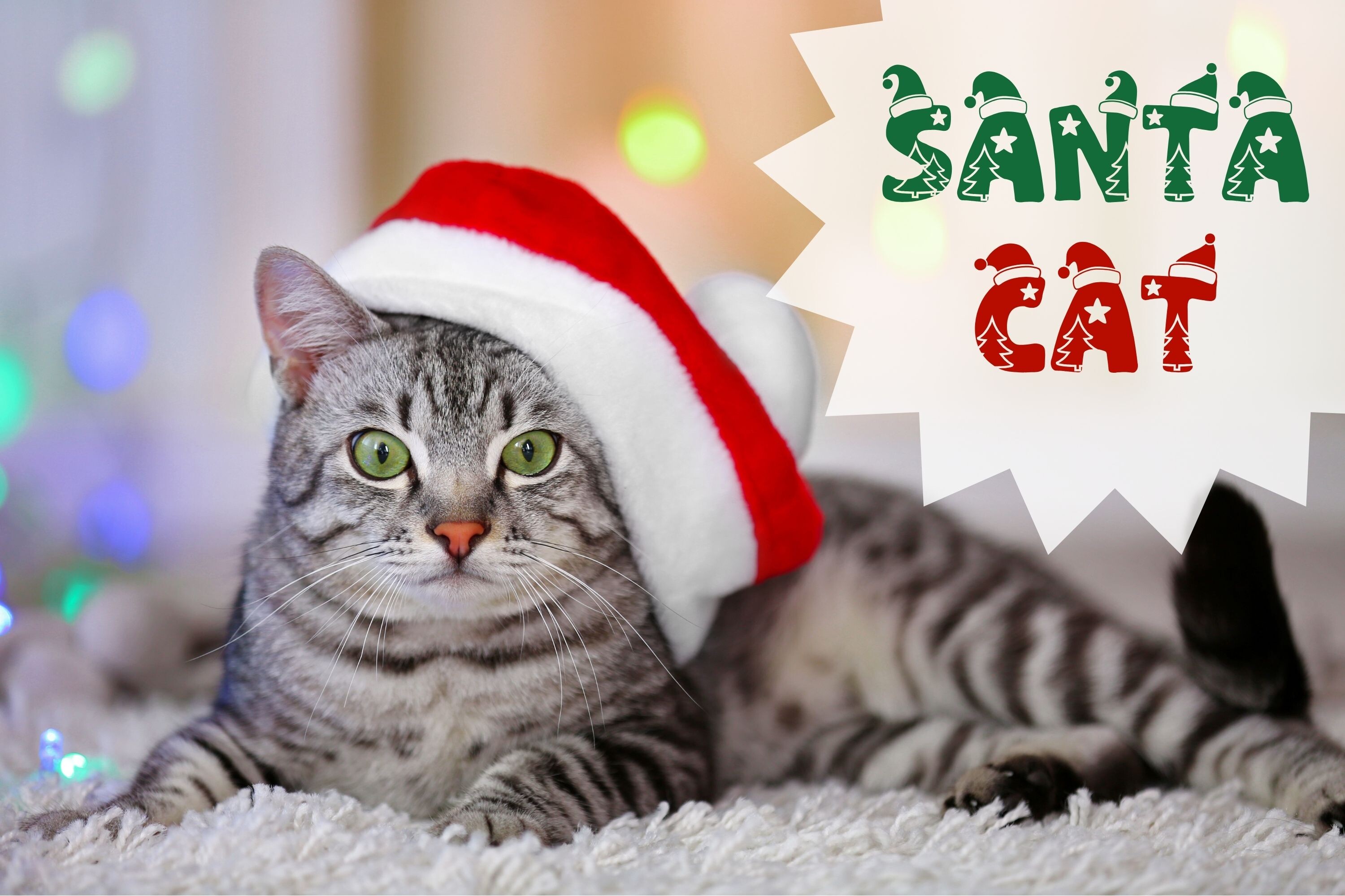 Christmas Santa Hat Font - photo 7