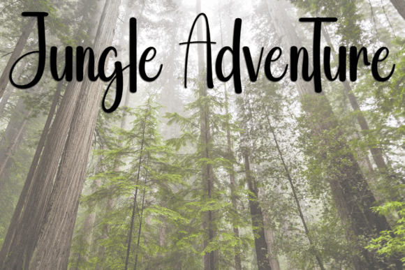 California Font - Preview 3