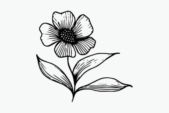 Flower Coloring Page Hand Drawing Vector