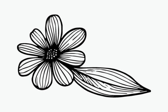 Flower Coloring Page Hand Drawing Vector