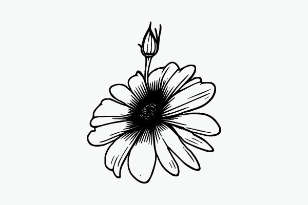Flower Coloring Page Hand Drawing Vector
