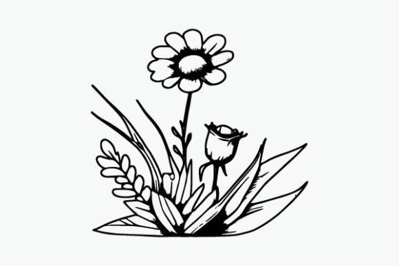 Flower Coloring Page Hand Drawing Vector