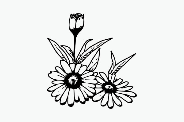 Flower Coloring Page Hand Drawing Vector