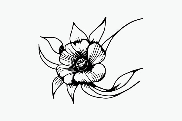 Flower Coloring Page Hand Drawing Vector