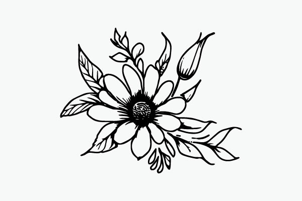 Flower Coloring Page Hand Drawing Vector