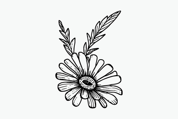 Flower Coloring Page Hand Drawing Vector