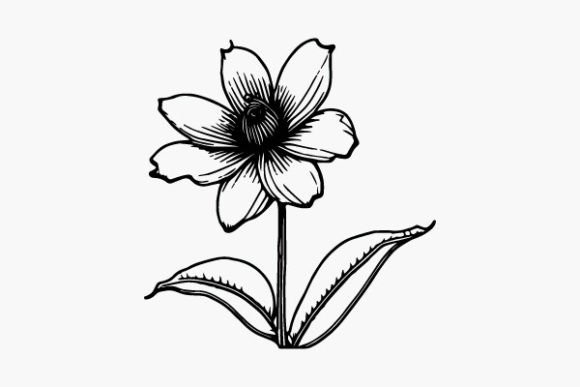 Flower Coloring Page Hand Drawing Vector