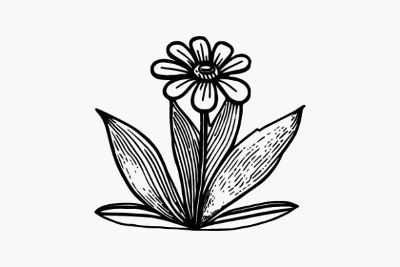 Flower Coloring Page Hand Drawing Vector