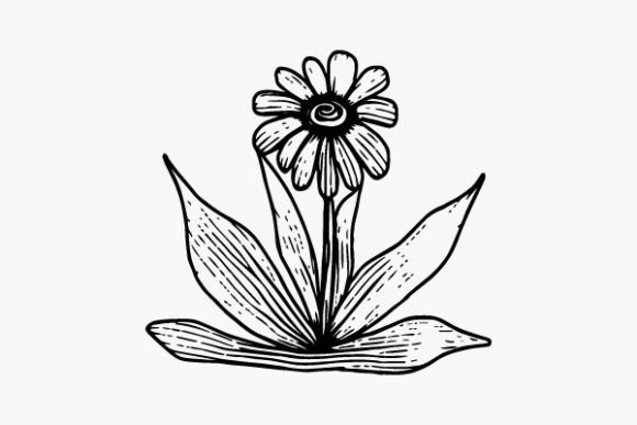 Flower Coloring Page Hand Drawing Vector