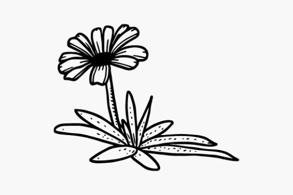 Flower Coloring Page Hand Drawing Vector