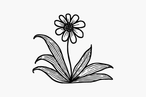 Flower Coloring Page Hand Drawing Vector